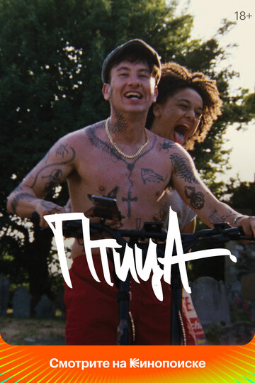 Птица  смотреть онлайн
